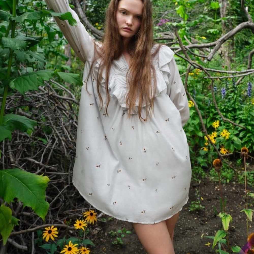 Zara Floral Embroidered Dress